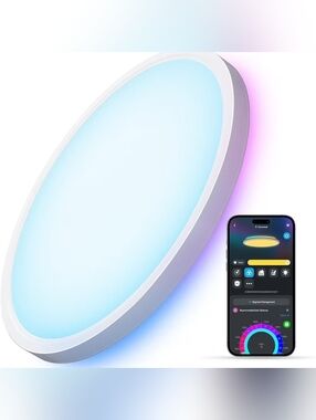 Govee RGBIC Smart Ceiling Light 12" 2400LM Alexa WiFi 2200K-6500K H60A1